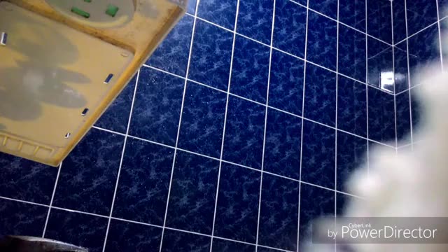 表姊妹洗澡偷拍2-續集 表姊妹洗澡偷拍2-續集