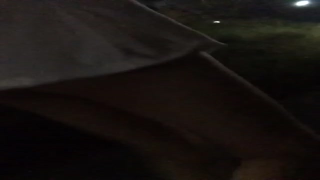 主人給的命令,母狗必須聽從 主人給的命令,母狗必須聽從