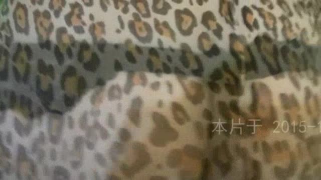 淫语对白豹纹诱惑② 无套爆插正在做瑜伽的淫荡继母【微信SQ20777spam出售30T高清做爱视频】  淫语对白豹纹诱惑② 无套爆插正在做瑜伽的淫荡继母【微信SQ20777spam出售30T高清做爱视频】