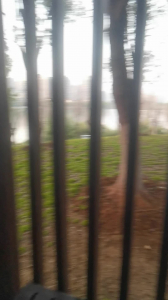 大白天公園後入人妻母狗，露臉瘋狂大叫