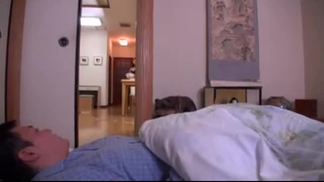 日本溫柔人妻  日本溫柔人妻