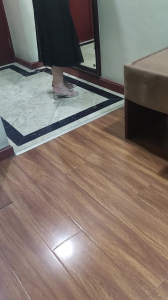 性愛日記之公司翻譯