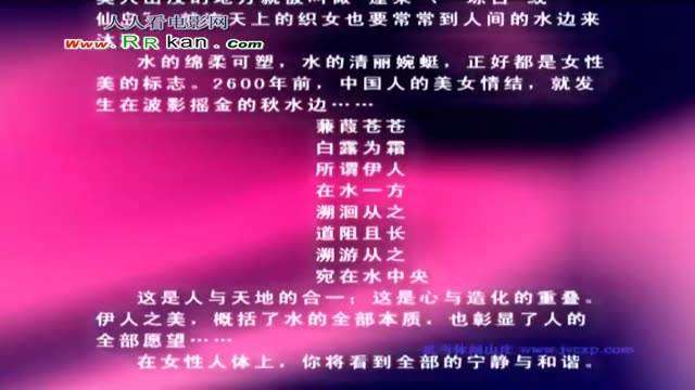 美人  美人