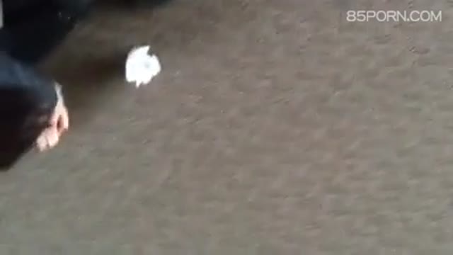 新來的女同事  新來的女同事