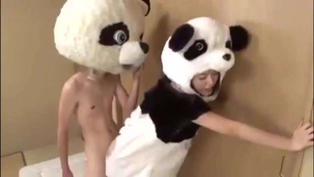 貓熊交配  貓熊交配