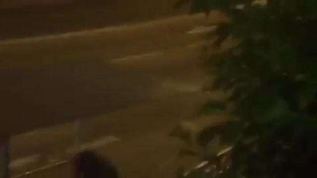 夜店撿屍4  夜店撿屍4