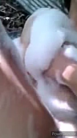 農村少婦露天洗澡 農村少婦露天洗澡