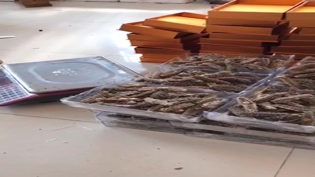 做海參 做海參