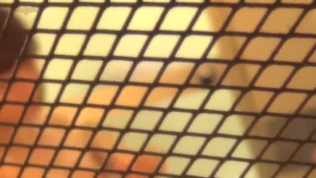 偷拍女生宿舍洗澡-1  偷拍女生宿舍洗澡-1