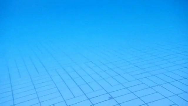 游泳池驚見鮑魚  游泳池驚見鮑魚