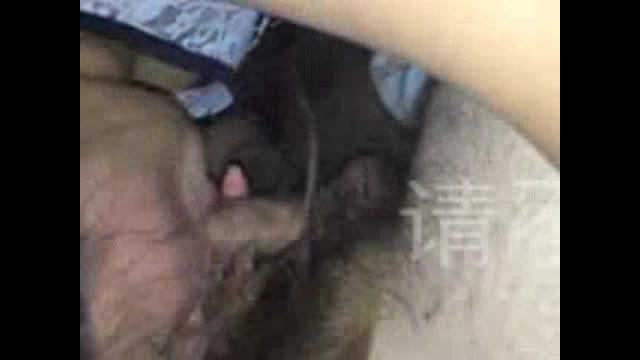 口交姐7 口爆吞精  口交姐7 口爆吞精